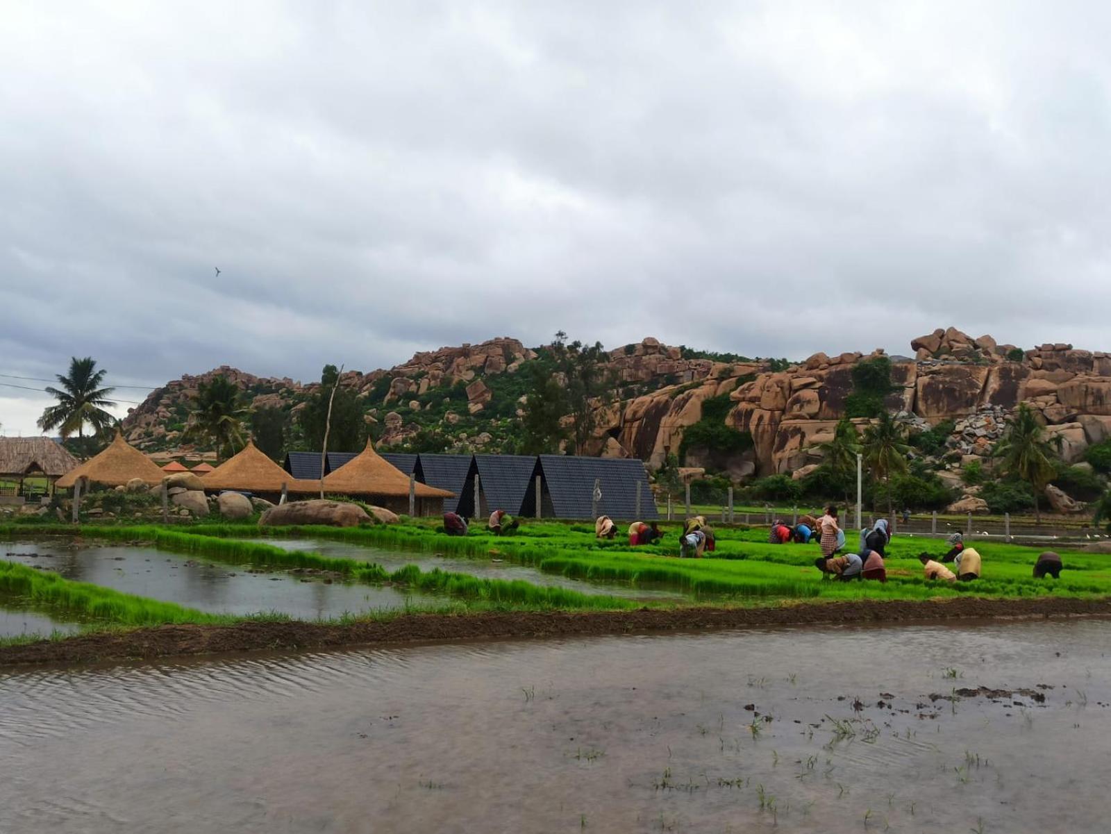 Golden Chariot Resort Hampi Kültér fotó
